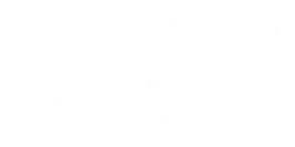 Schwyz Next logo