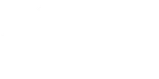 Young Enterprise Switzerland logo
