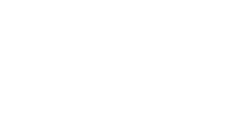 MSM Group logo