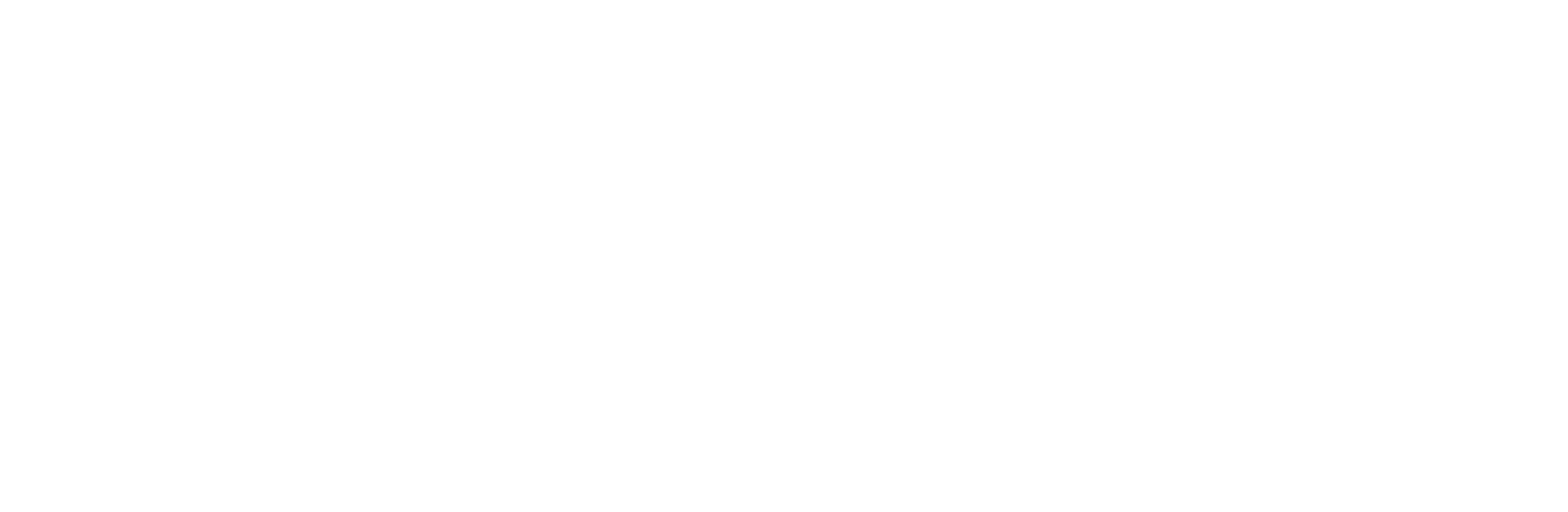 Emil Frey | move logo